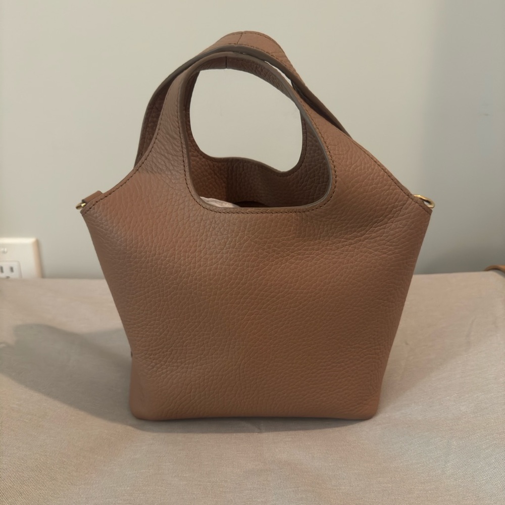 Cuyana mini system tote in cappuccino